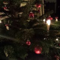 Weihnachtsbaum